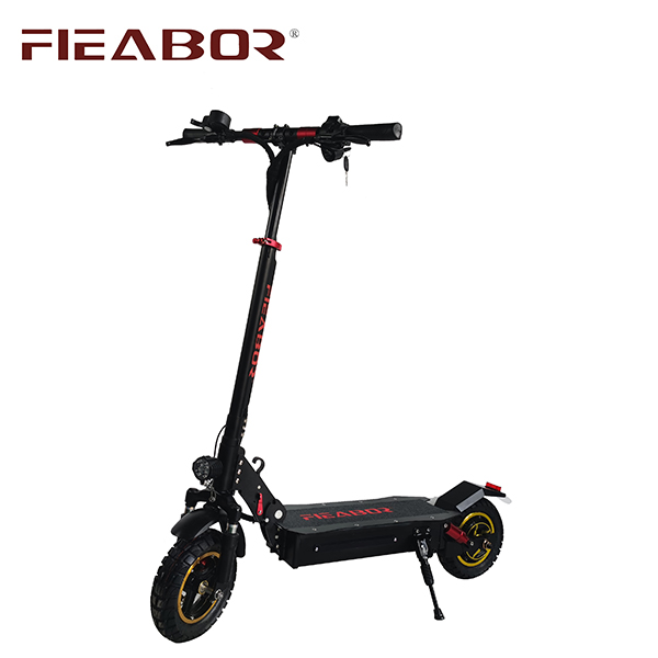 Adult electric scooter Q05