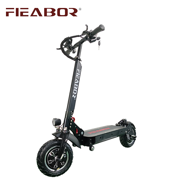 Adult electric scooter Q04