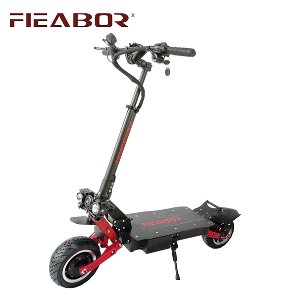 Adult electric scooter Q09