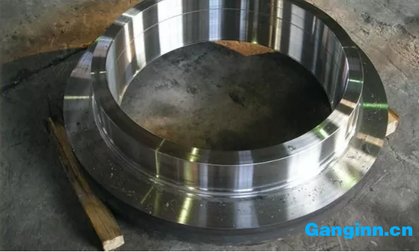 電機(jī)護(hù)環(huán) 電機(jī)護(hù)環(huán)